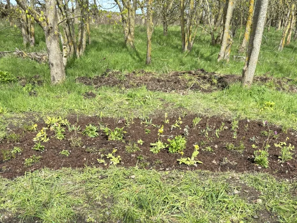 Action for Climate and Environment Newburgh-10